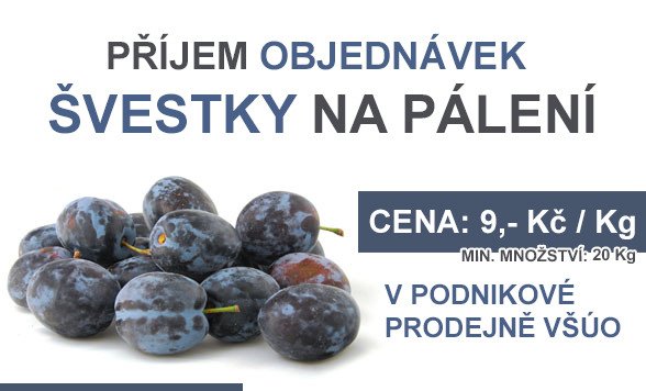 Švestky na pálení